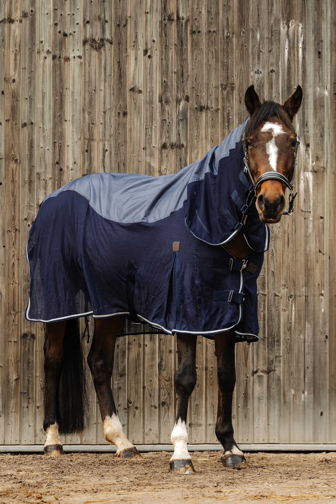 Chemise combo EQUITHÈME - Mixte