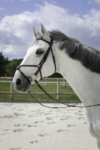 Bridon RIDING WORLD - Muserolle croisée