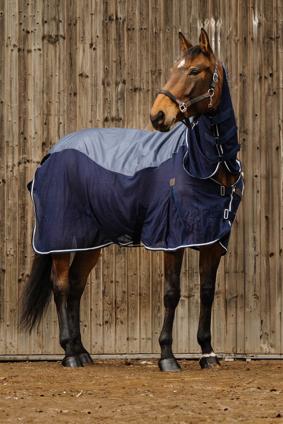 Chemise combo EQUITHÈME - Mixte