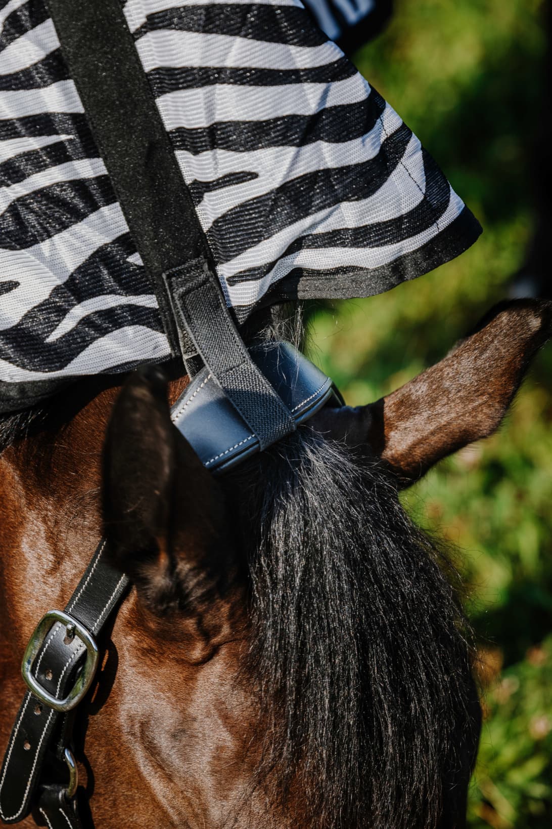 Chemise RIDING WORLD - Belly Mesh - Combo