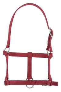 Licol foal RIDING WORLD