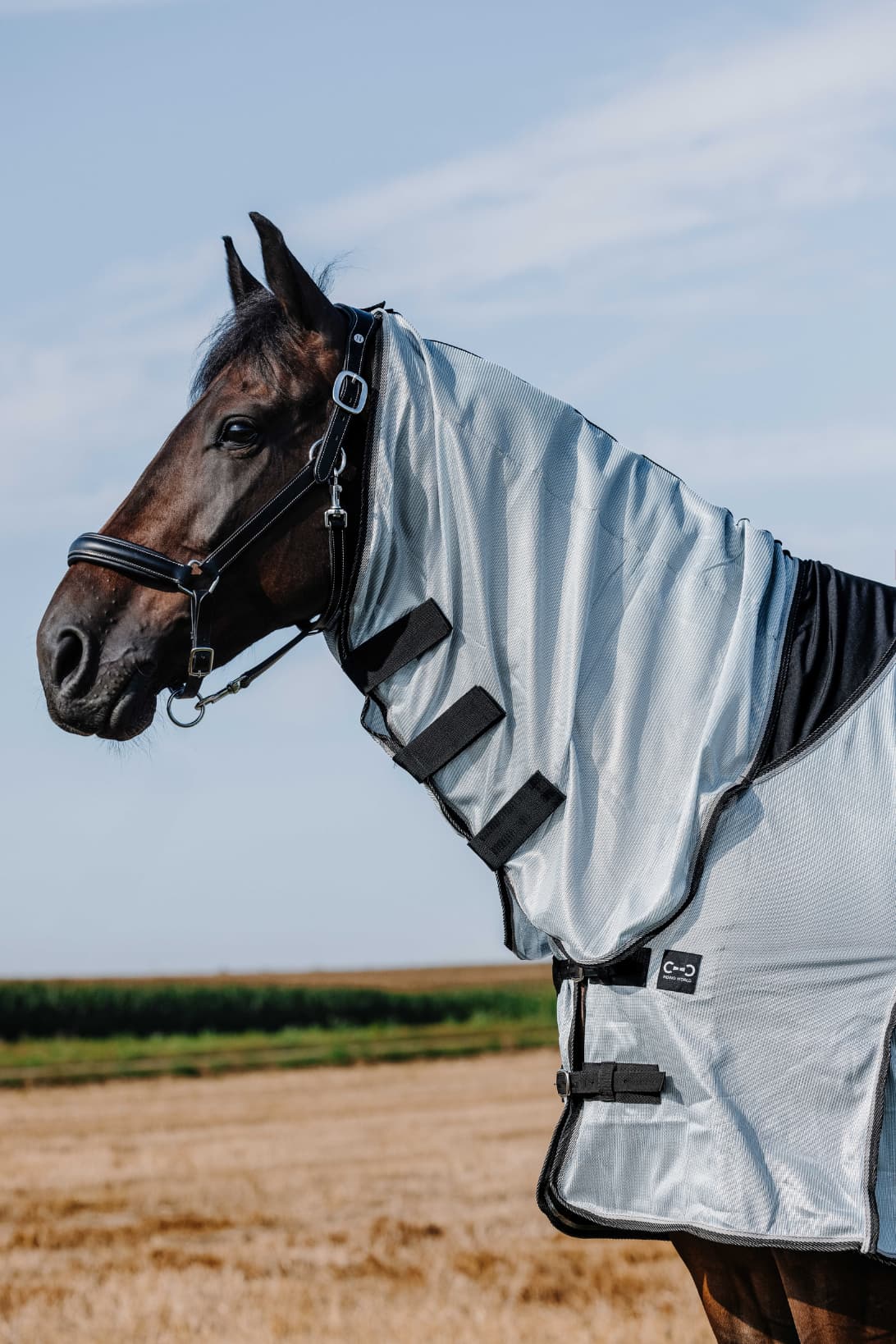 Chemise RIDING WORLD - Belly Mesh - Combo