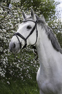 Bridon NORTON PRO - Strass