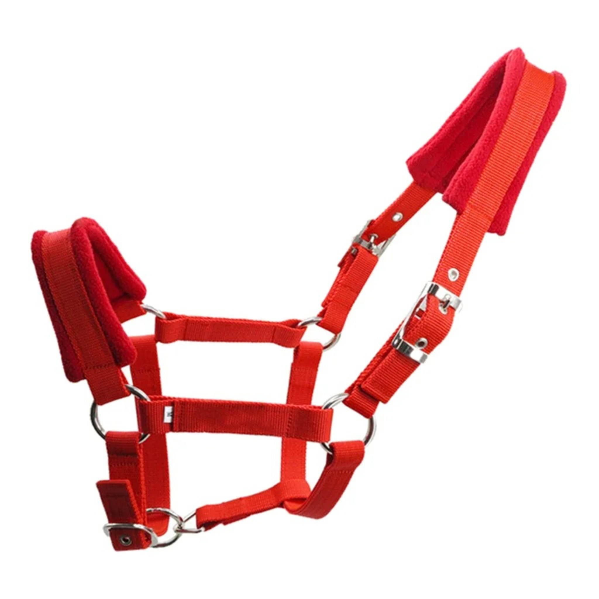 ACCESSOIRES POUR LICOLS / LONGES