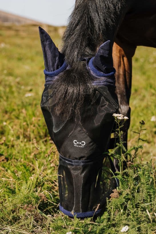 Masque anti-mouches RIDING WORLD - First
