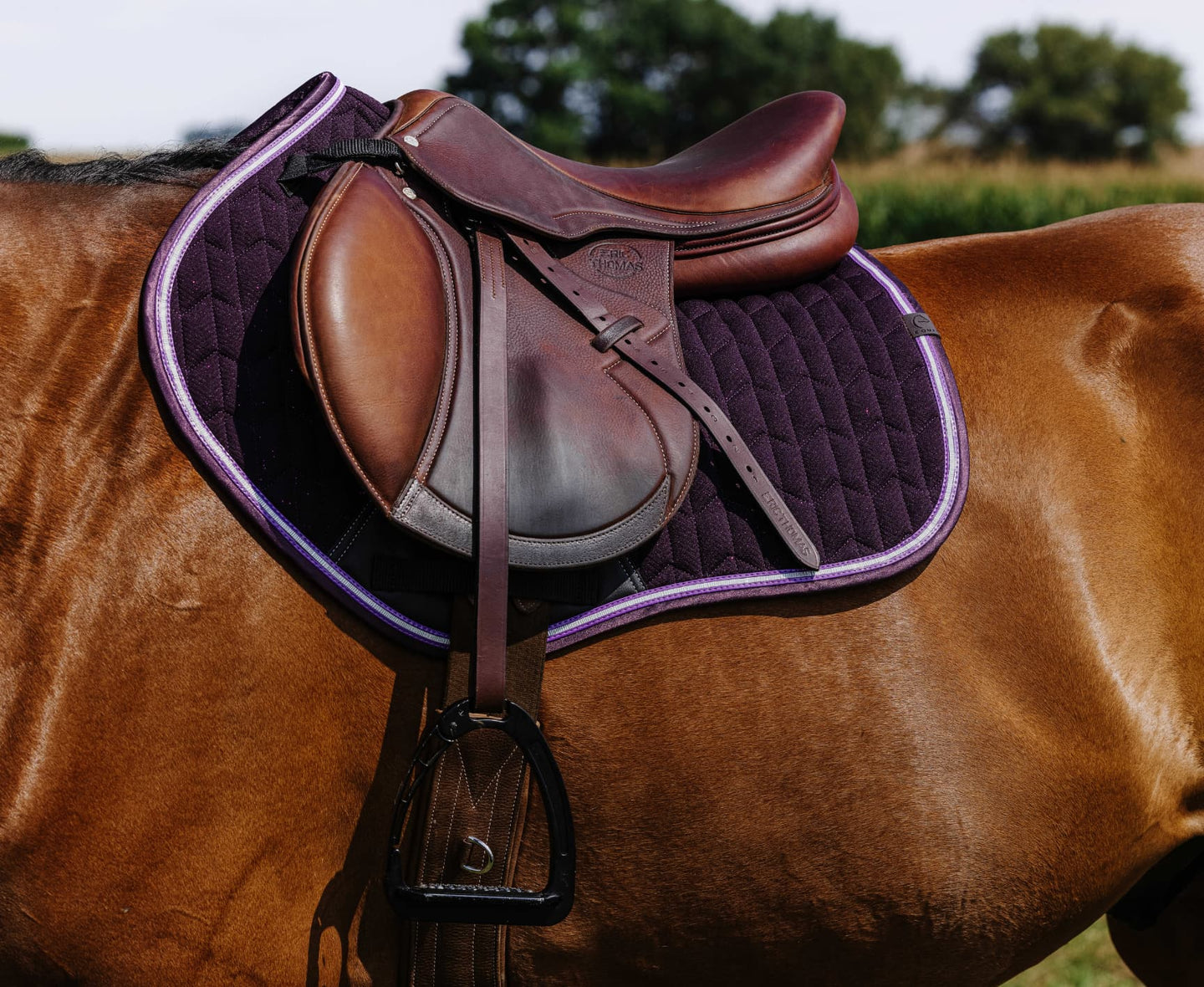 Tapis de selle EQUITHÈME - Eclat