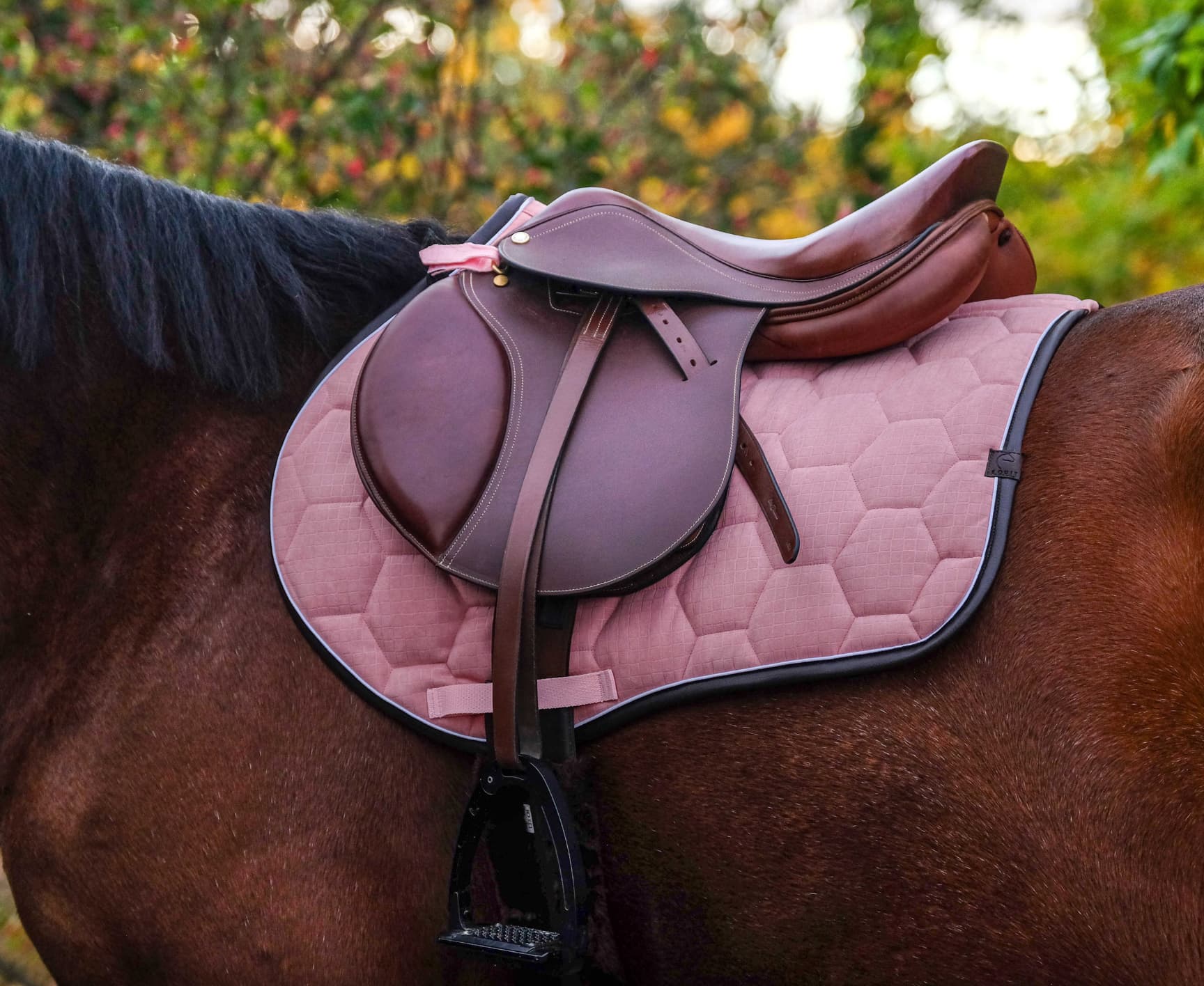 Tapis de selle EQUITHÈME - Quadri