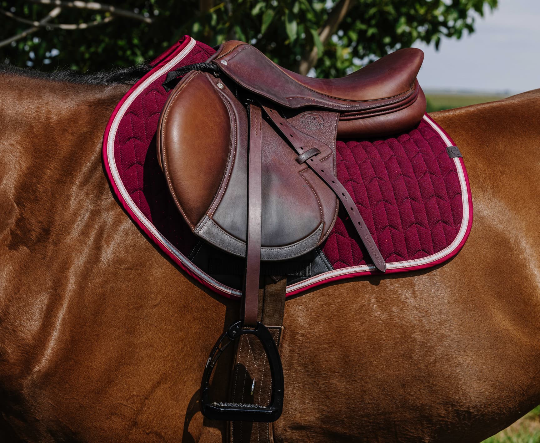Tapis de selle EQUITHÈME - Eclat