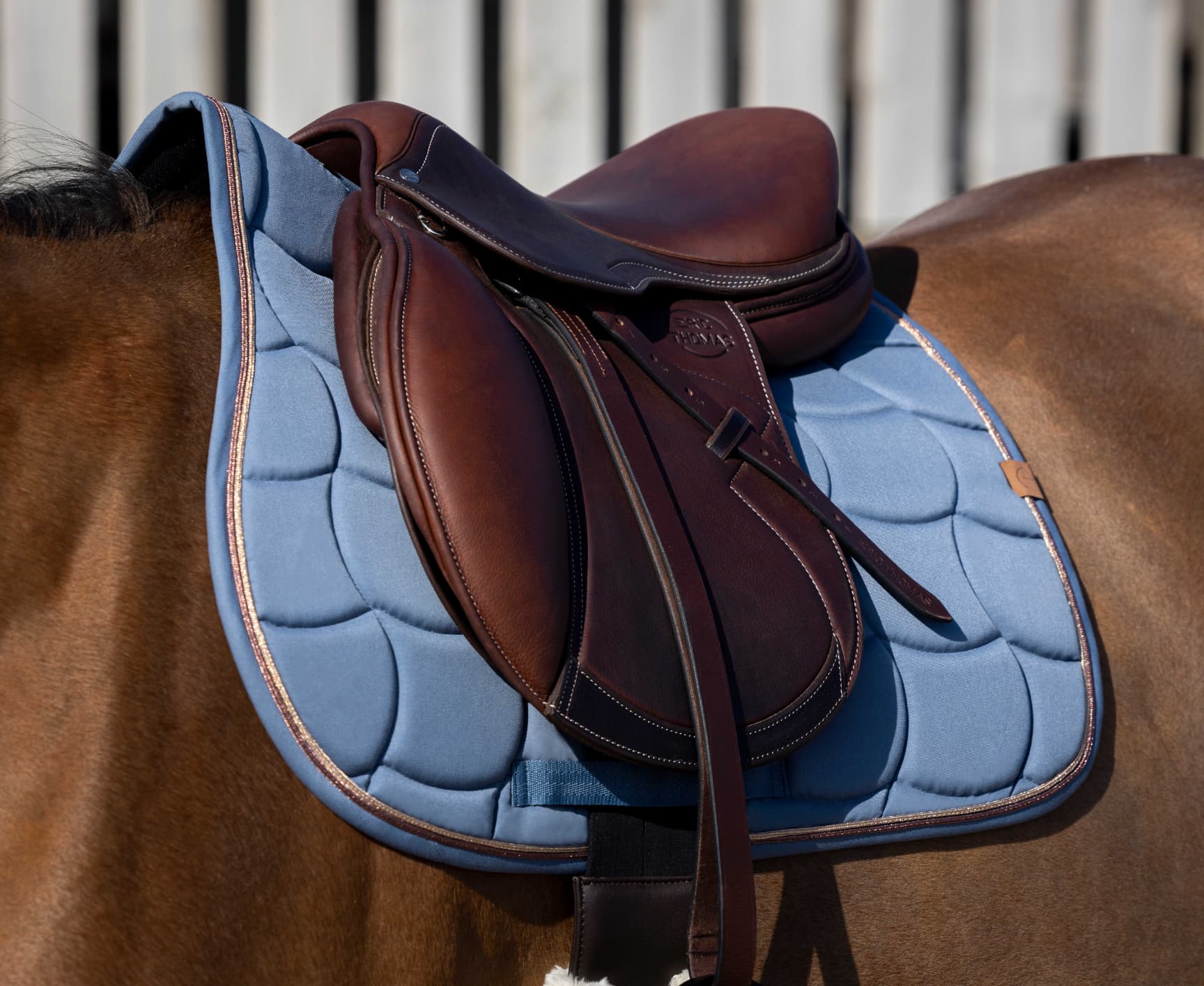 Tapis de selle EQUITHÈME -Shiny-