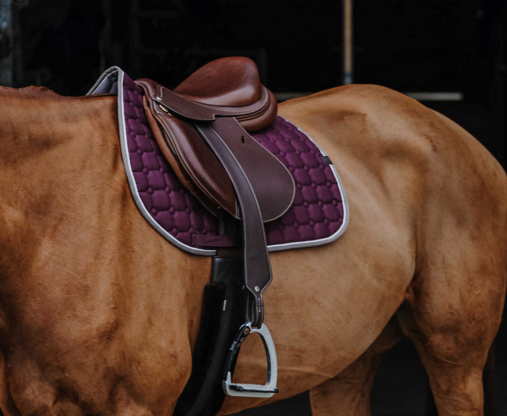Tapis de selle EQUITHÈME - Orion
