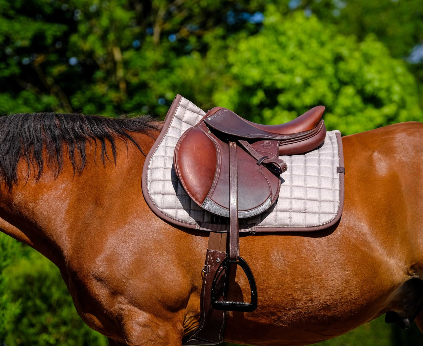 Tapis de selle EQUITHÈME - Chic