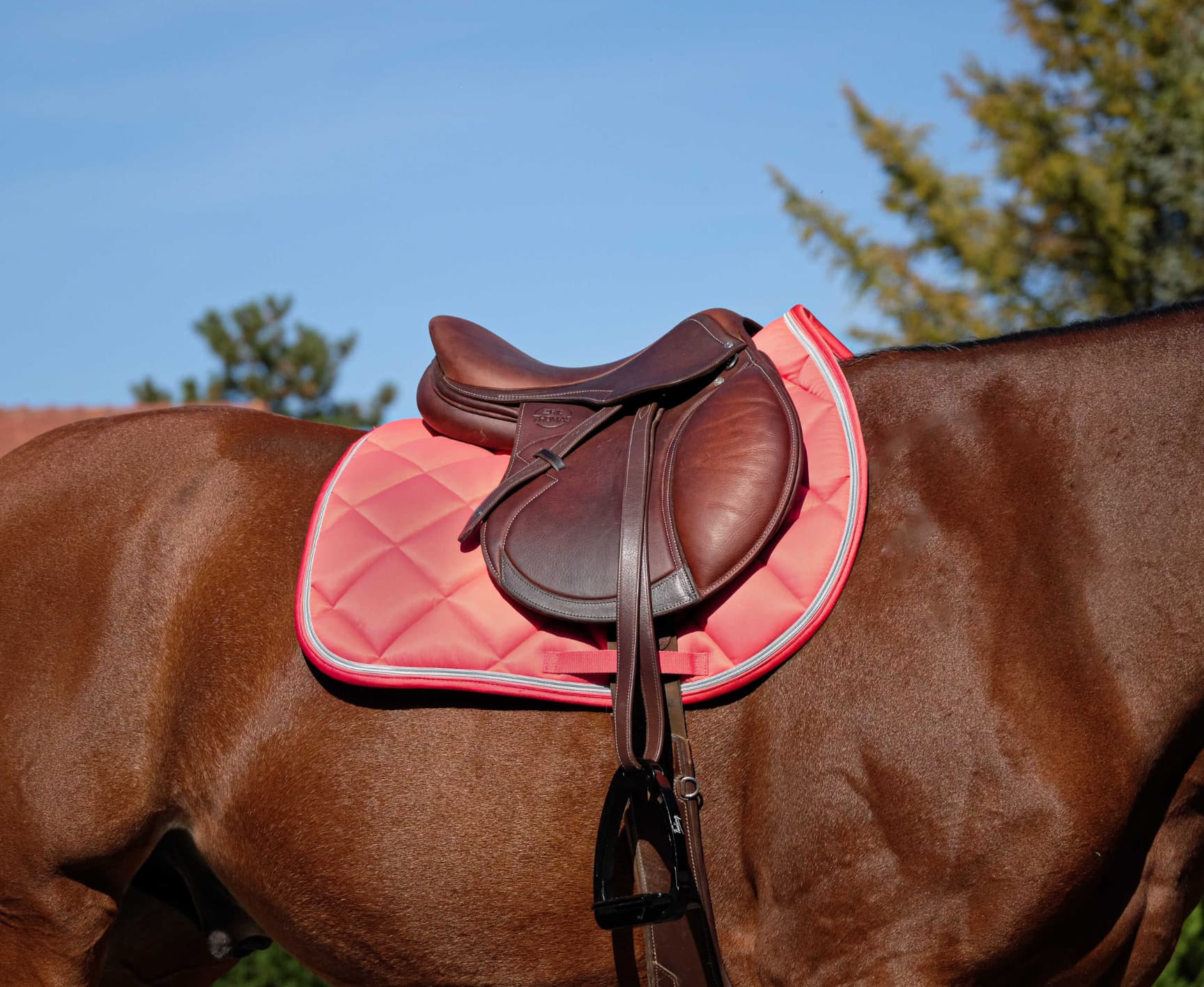 Tapis de selle EQUITHÈME - Classic