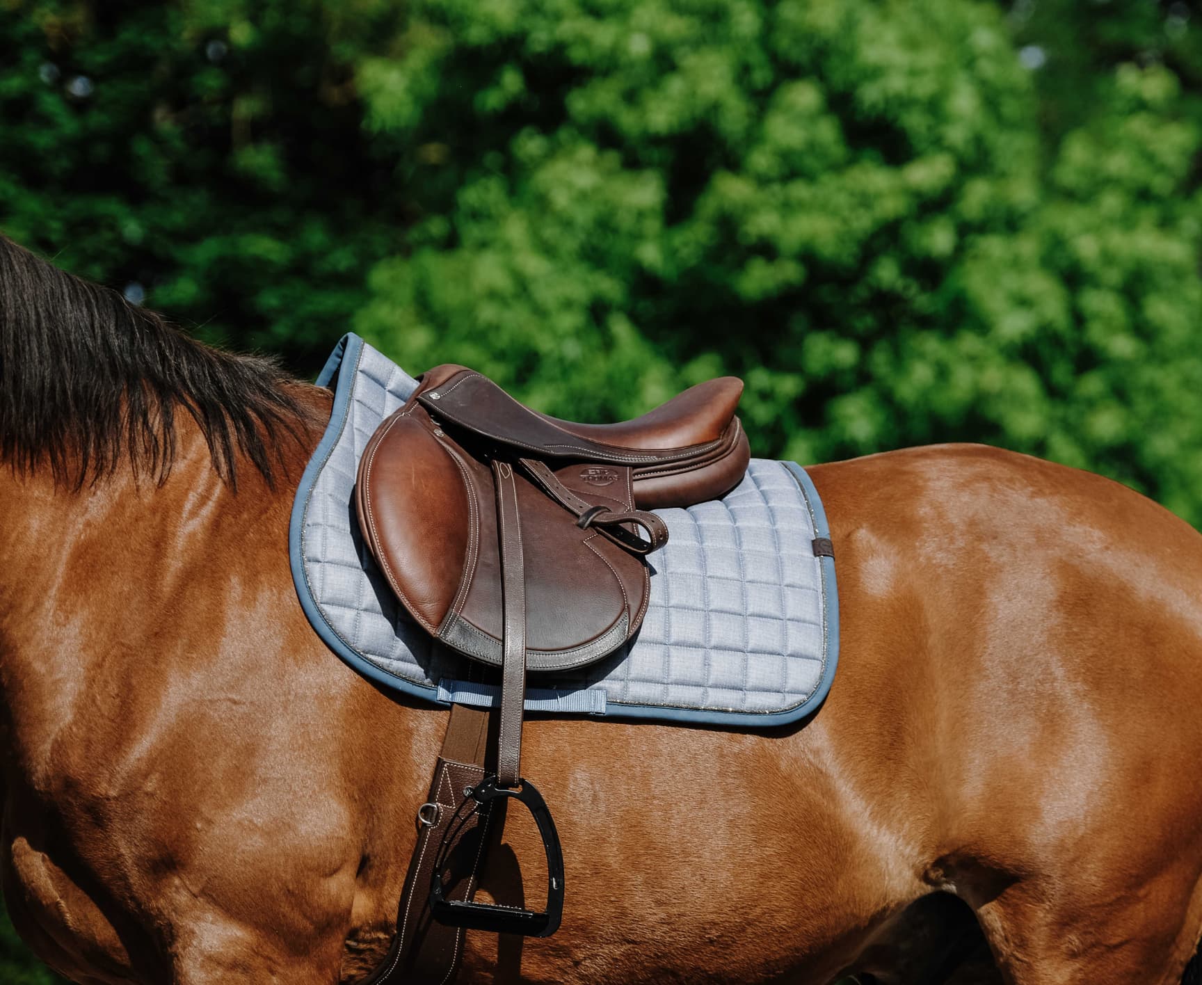 Tapis de selle EQUITHÈME - Chic