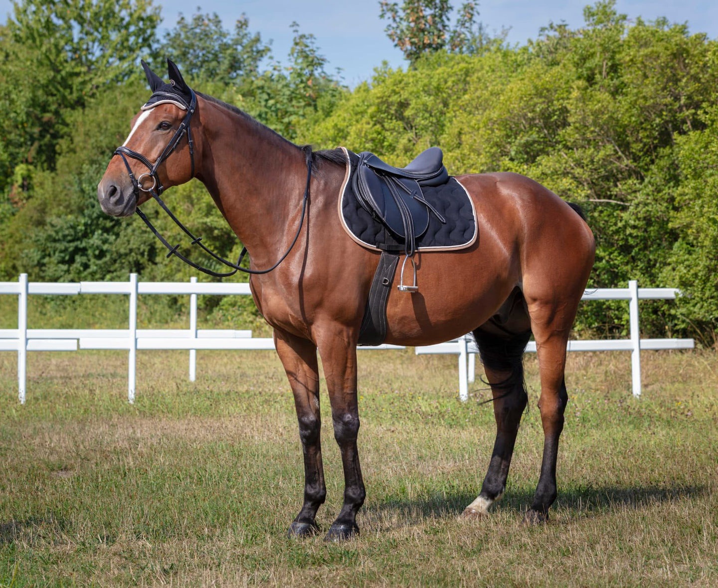 Tapis de selle EQUITHÈME - Polyfun
