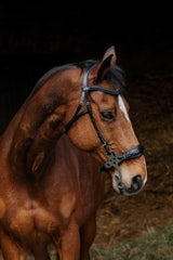 Bridon NORTON PRO - Hackamore