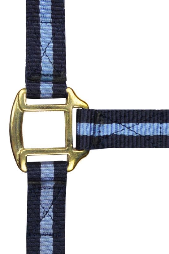 Licol nylon NORTON doublé cuir