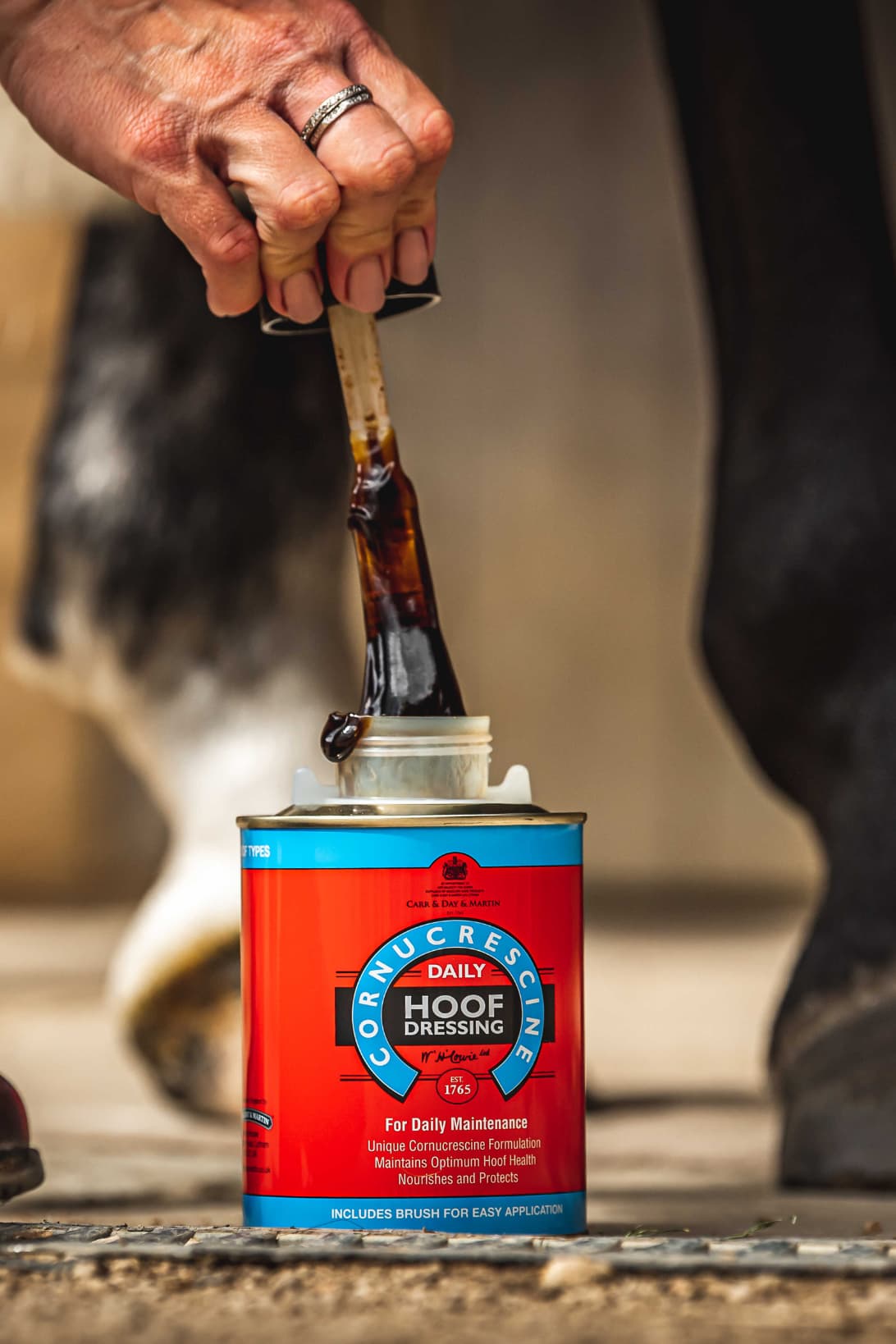 Huile pour sabots CARR & DAY & MARTIN - Hoof Dressing Cornucrescine