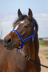 Licol EQUITHÈME - Nylon light