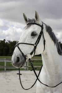 Bridon RIDING WORLD - Muserolle croisée