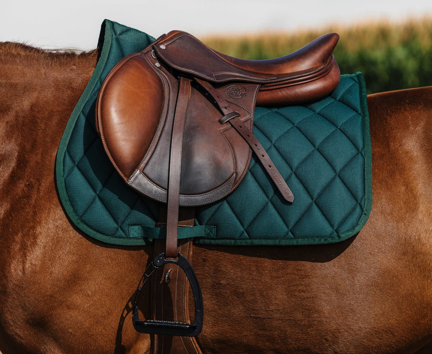 Tapis de selle RIDING WORLD - School
