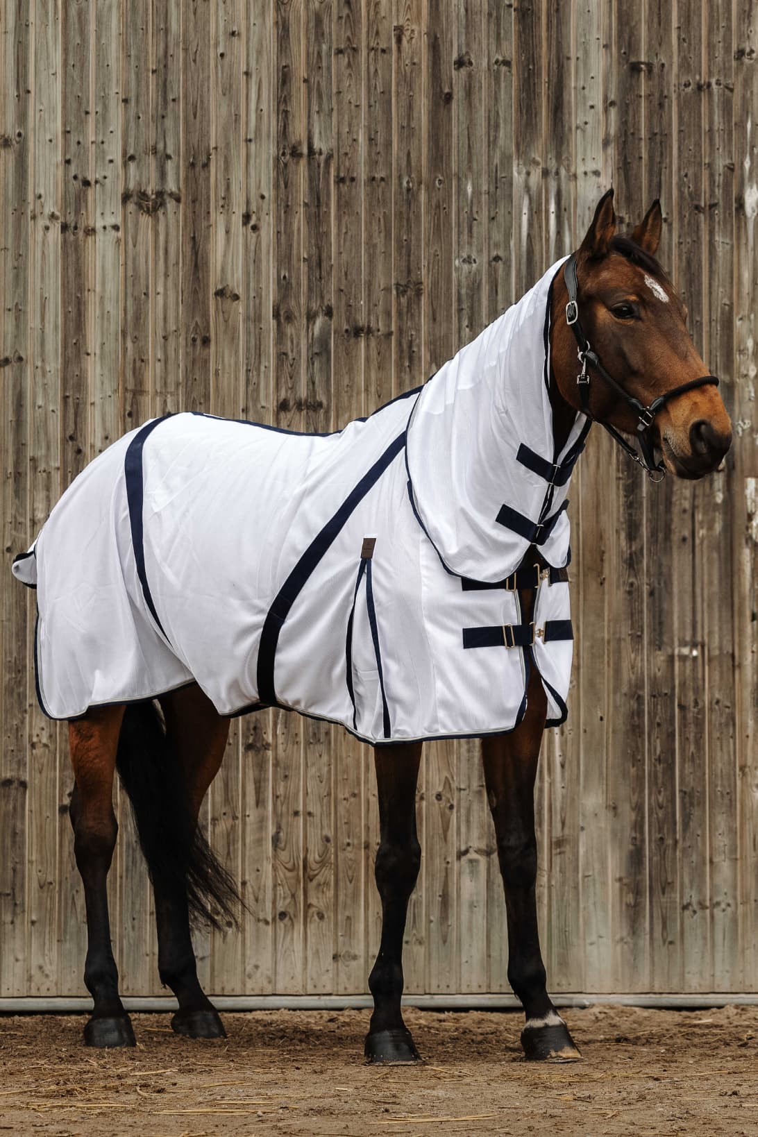 Chemise anti-insectes EQUITHÈME - Mesh combo