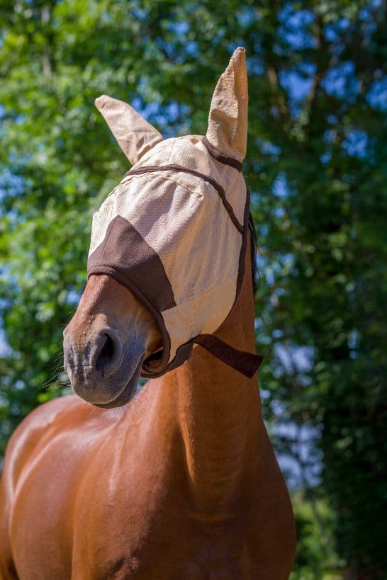 Masque anti-mouches EQUITHÈME -Fly protector-