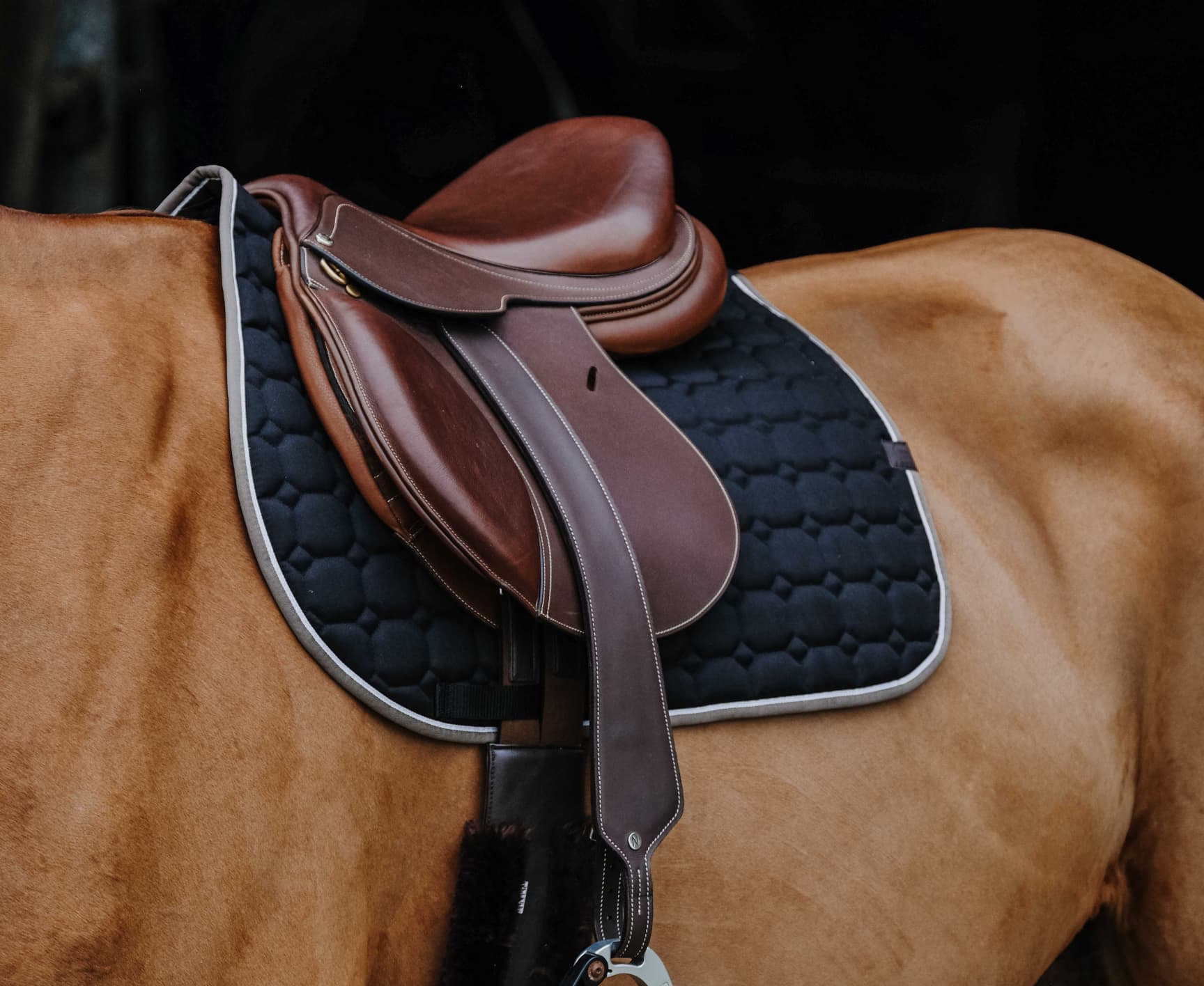 Tapis de selle EQUITHÈME - Orion