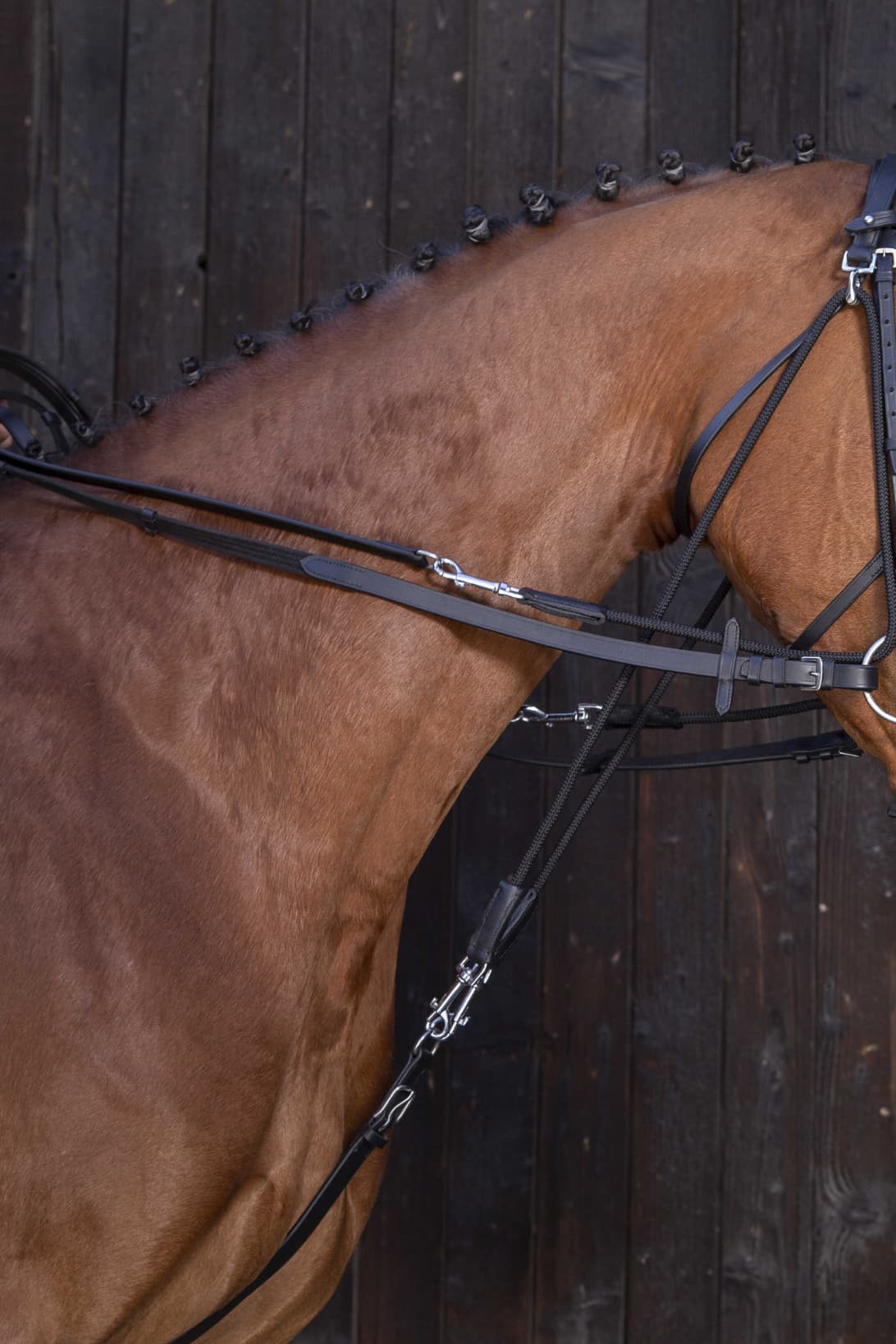 Rênes de gogue cuir RIDING WORLD