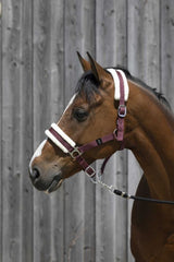 Licol RIDING WORLD mouton synthétique