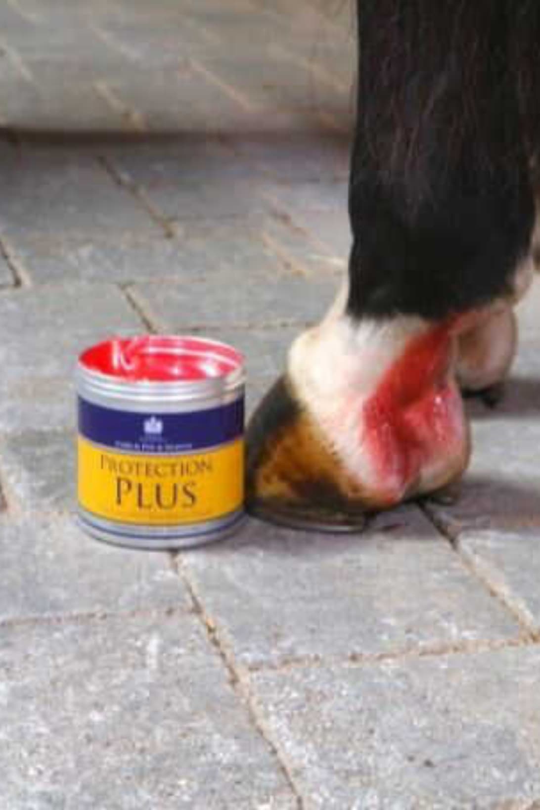 Crème de protection CARR & DAY & MARTIN - Protection Plus