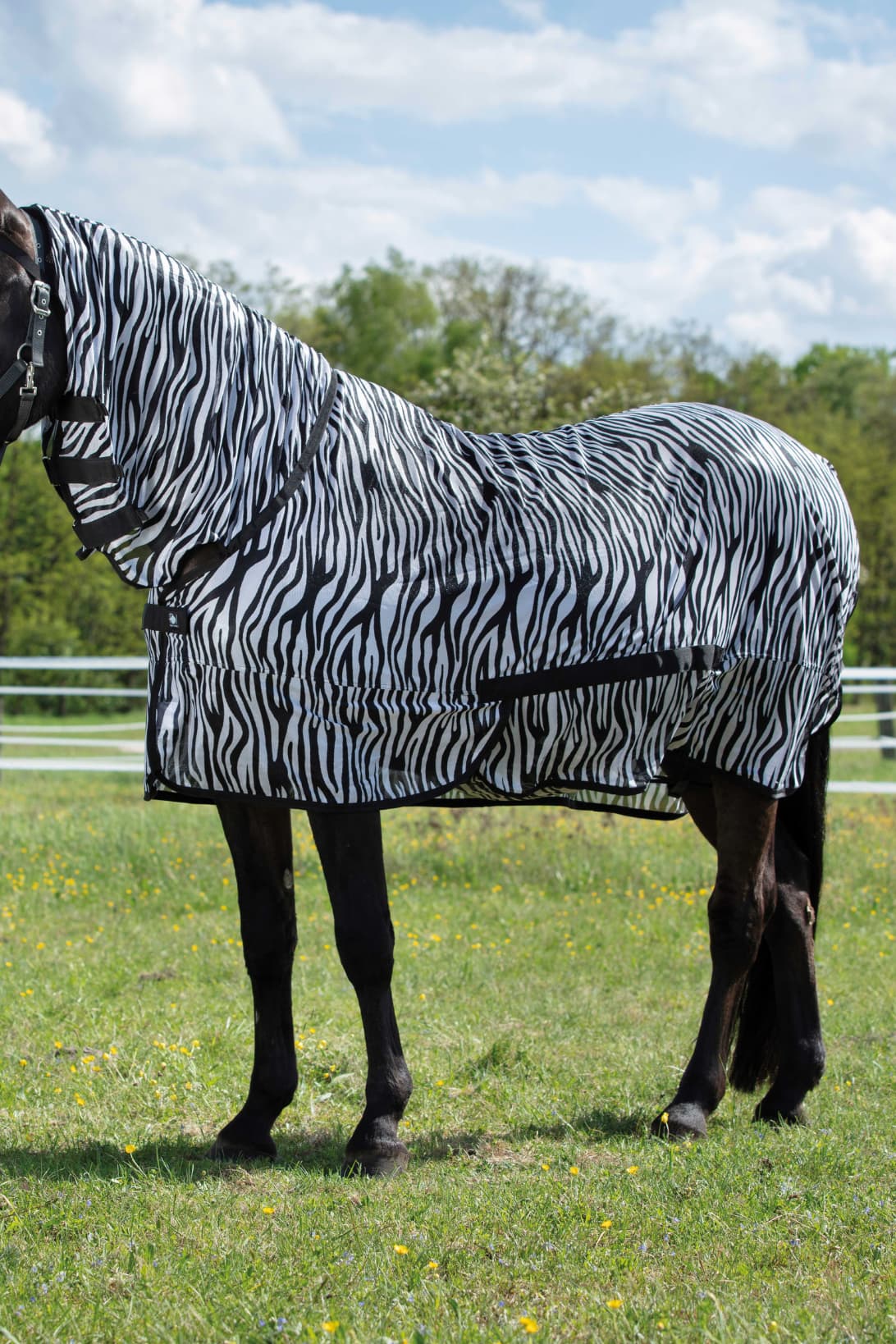 Chemise filet RIDING WORLD - Combo