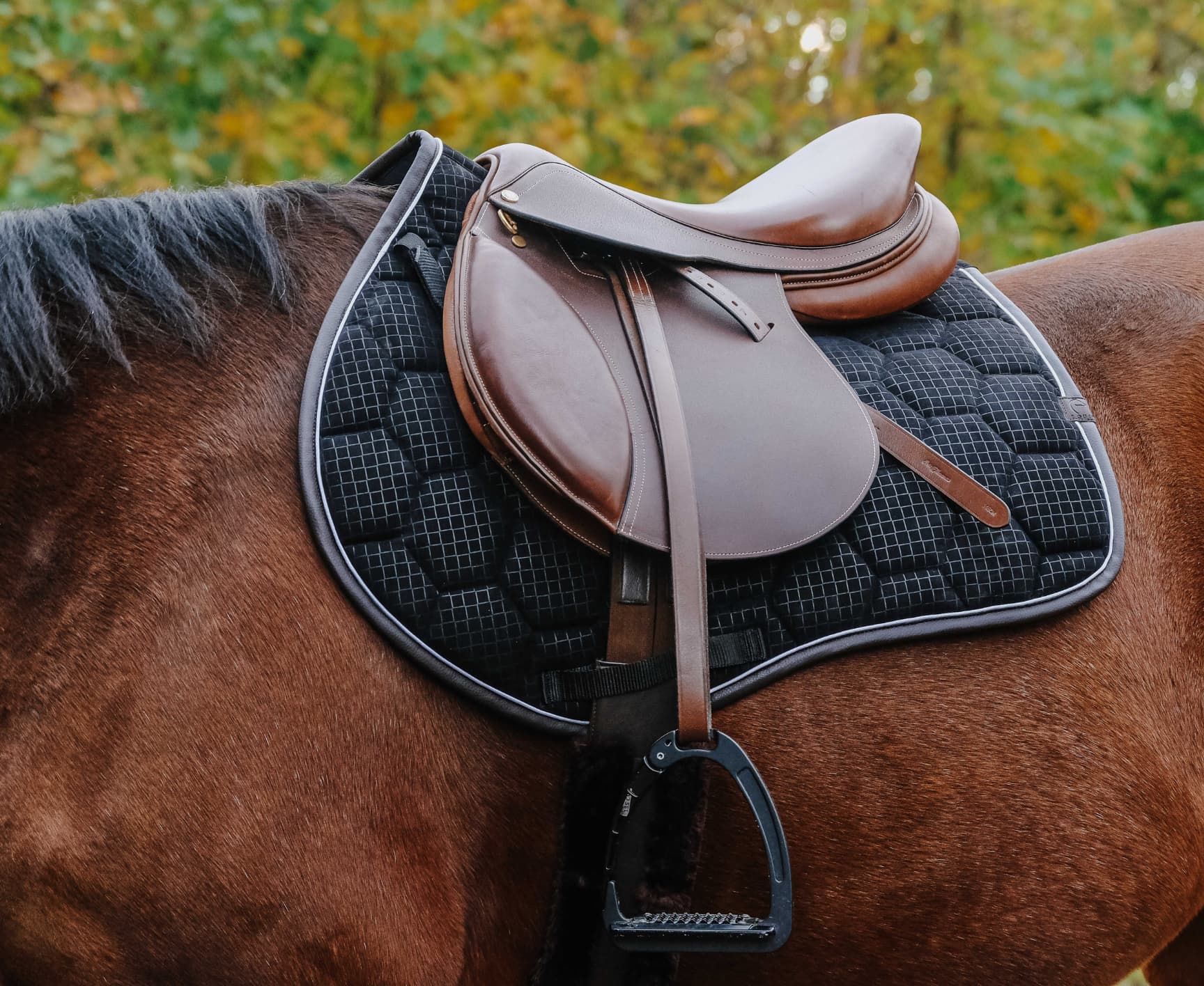 Tapis de selle EQUITHÈME - Quadri