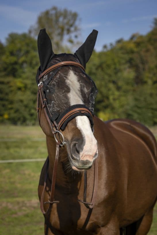 Masque anti-mouches EQUITHÈME -Training-