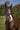 Masque anti-mouches EQUITHÈME -Training-