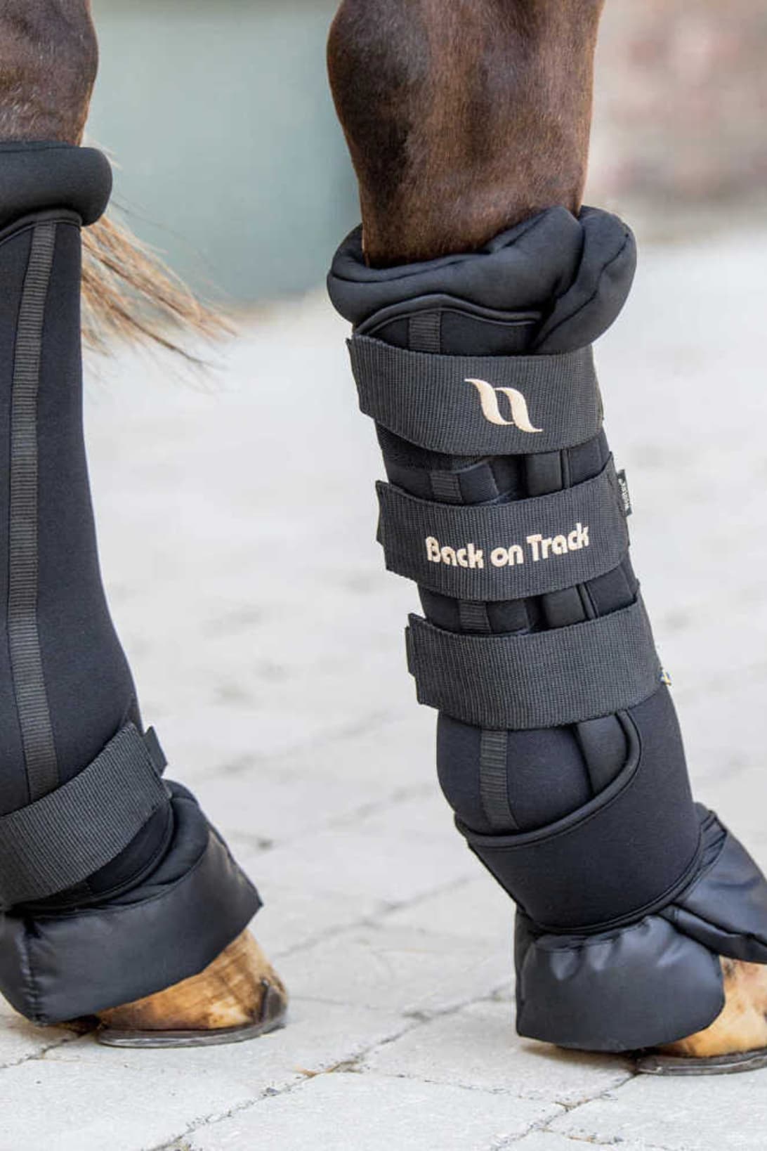 Stable boots BACK ON TRACK® - Royal Deluxe