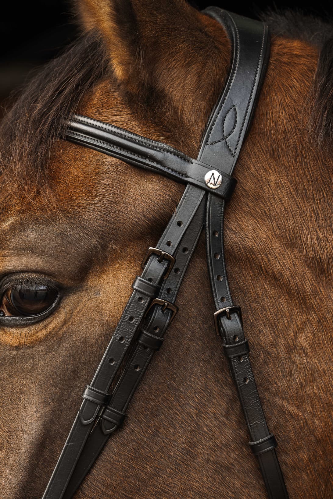 Bridon NORTON PRO - Dark