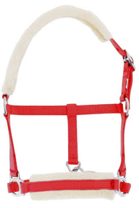 Licol foal RIDING WORLD mouton synthétique
