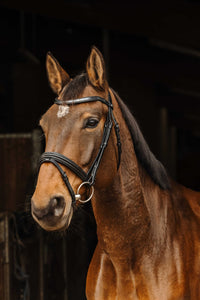 Bridon NORTON PRO - Galon