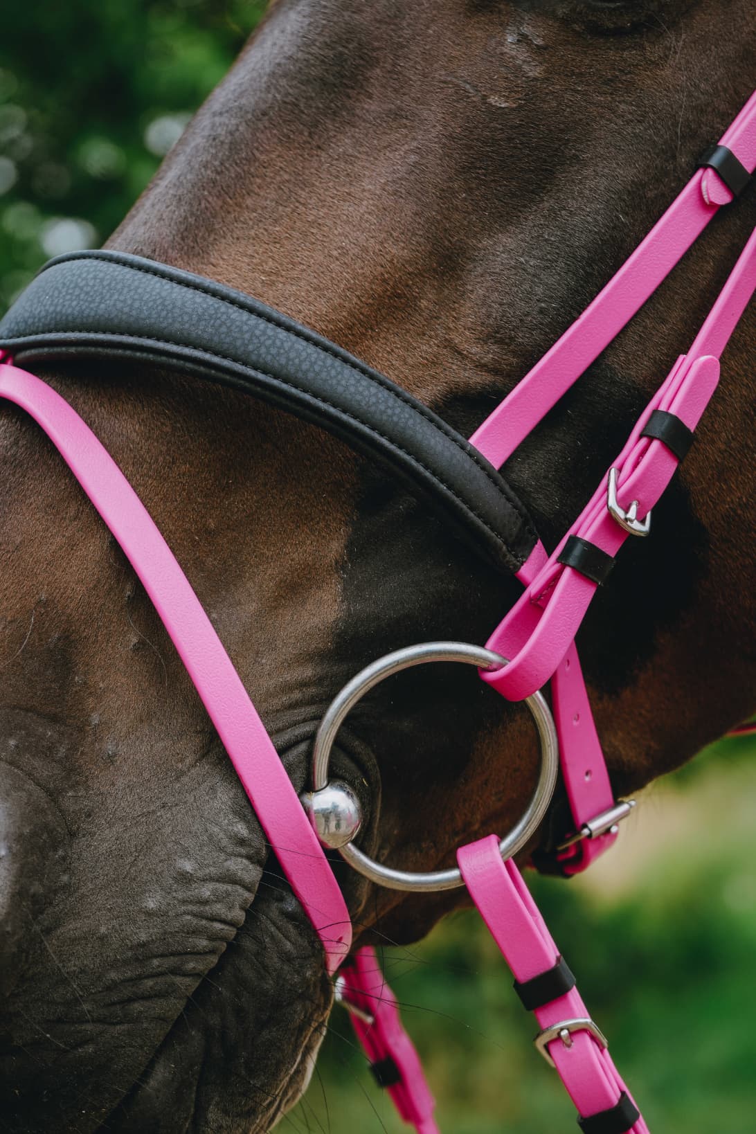 Bridon endurance NORTON - Pop