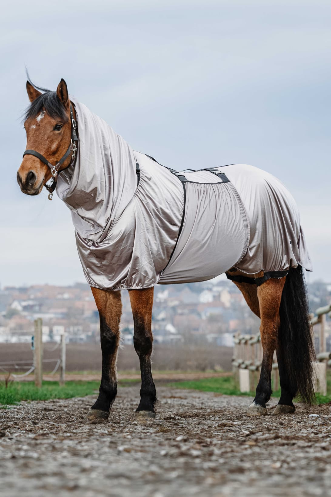 Chemise anti-eczéma RIDING WORLD