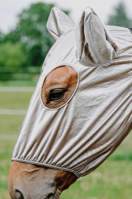 Bonnet anti-eczéma RIDING WORLD