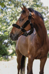 Licol NORTON "Full mouton synthétique"