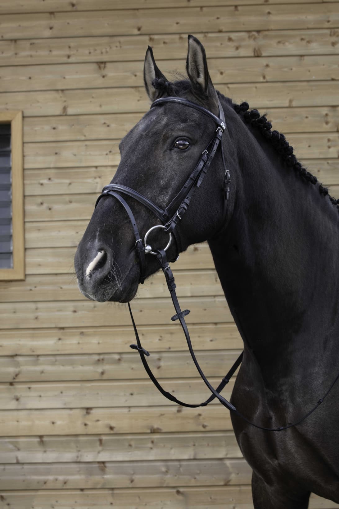 Bridon RIDING WORLD - Muserolle combinée