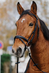 Bridon NORTON - TRAINING