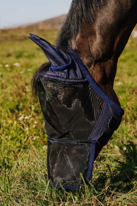 Masque anti-mouches RIDING WORLD - First