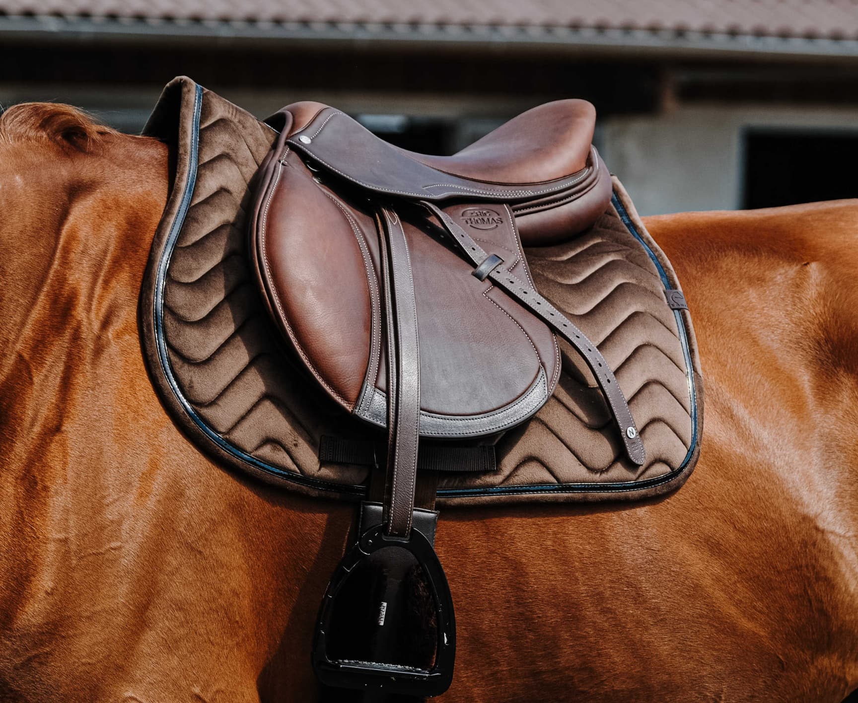Tapis de selle EQUITHÈME -Glossy-