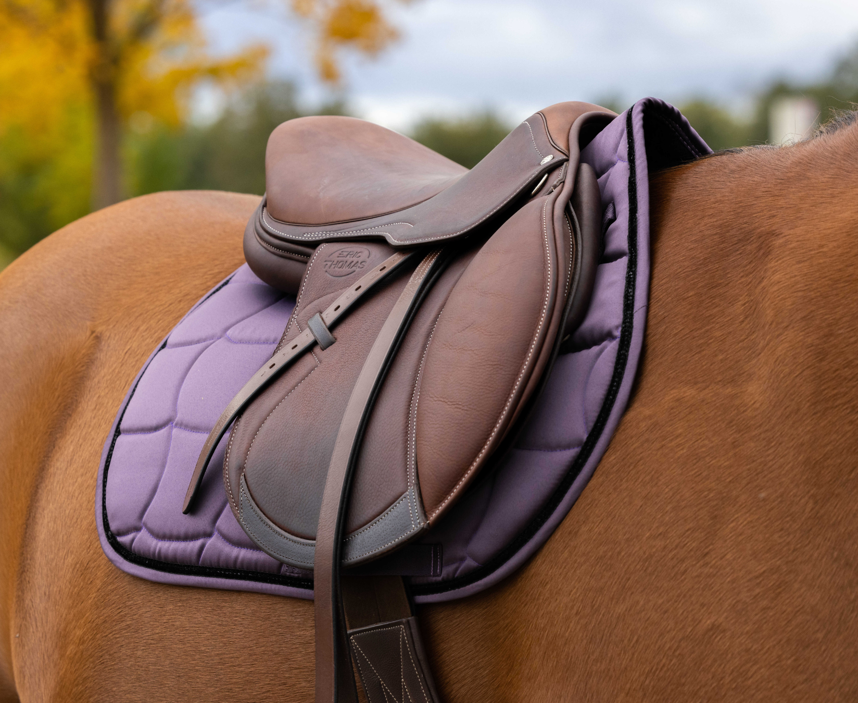Tapis de selle EQUITHÈME - Satin