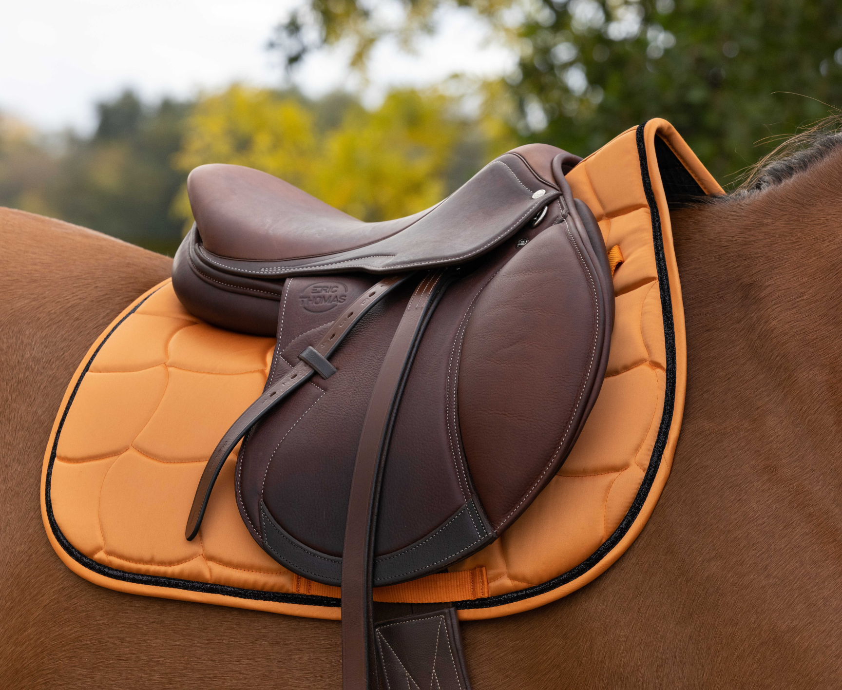Tapis de selle EQUITHÈME - Satin