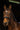 Bridon NORTON PRO - Dark
