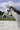 Bridon RIDING WORLD - Muserolle croisée